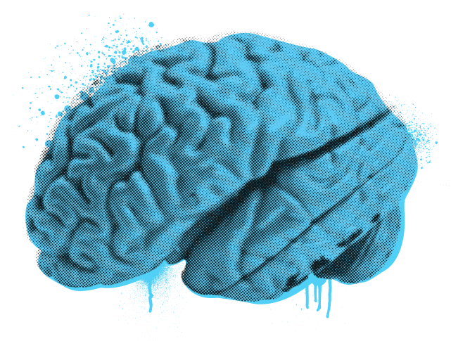 Illustration of a brain